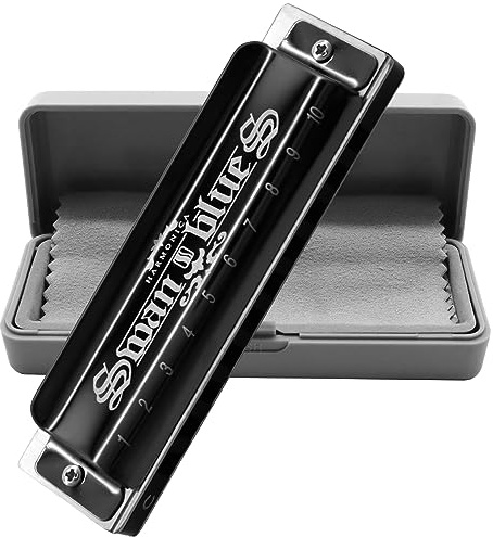 Blues Harmonica Armonica Mouth Organ Harp 10 Holes Harmonica Key of C Diatonic Professional Advanced Music Instrument for Kids Adults