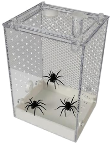 Terrarium för hoppande spindlar - transparent avelslåda för religiösa Mantis - ventilerad behållare för spindel, skorpioner, kackerlackor, syror, myror och mantis för , zoo, klassrum och