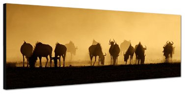 Augenblicke Wandbilder Keilrahmenbild Wandbild 150x50cm Afrika Kalahari Sonnenuntergang Gnu