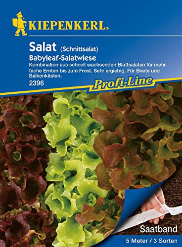 Kiepenkerl 2396 Schnittsalat Babyleaf Mischung Saatband (Schnittsalatsamen)