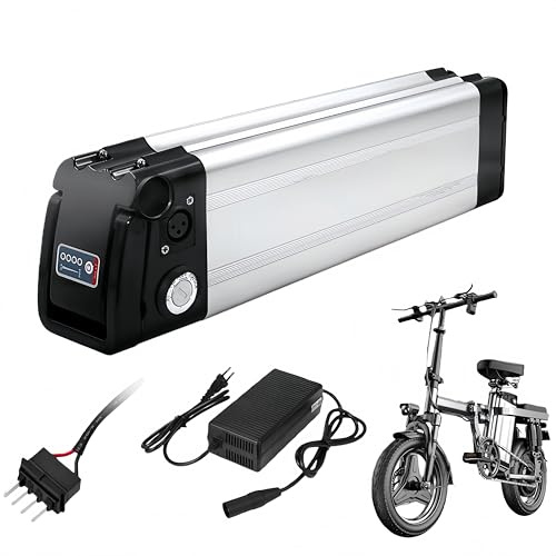 X-go Batteria Ebike, 48V 13AH 4-Pin Batteria per bicicletta elettrica, con caricatore, blocco sicuro, indicatore luminoso a LED per 750W 500W 350W 250W 100W Motore (48V 13AH 4-Pin)