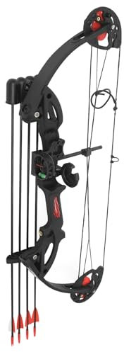 Compoundbogen Set, Compoundbogen mit 12 Pfeilen, Compoundbogen 16-29 lbs Einstellbar Zug, Compound Bogen Set für Jugendliche, Sicherer Armschutz und Präzise Zielausrüstung