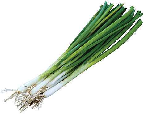 Burpee Evergreen Long White Bunching Onion Seeds 2000 seeds