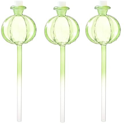 Desikixudy 3 bolas de riego para plantas de interior, cactus