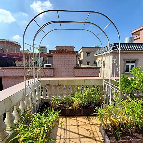 Treillis d'arche de jardin en fer pour plantes grimpantes, hauteur 240 cm, résistant aux intempéries, facile à assembler, décorations d'intérieur/extérieur, blanc (2,4 m)