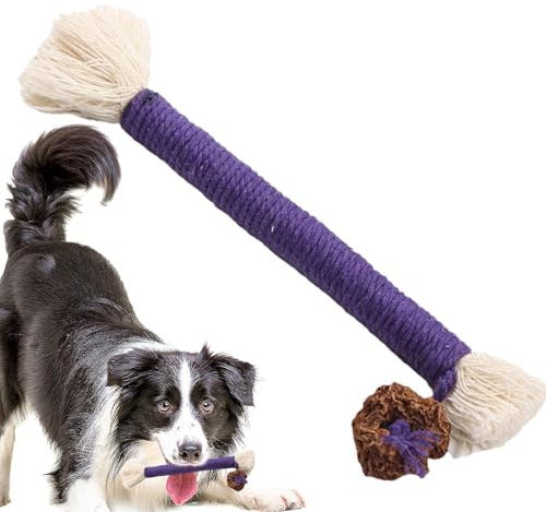 Bâton à mâcher pour Chat Silvervine, Jouet Naturel à mâcher pour Nettoyage des Dents, mélange d' à Chat et de Menthe à Chat | Friandises dentaires Naturelles pour Chatons – Favorise des Dents