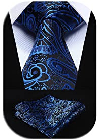 HISDERN Krawatten für Herren Hochzeit Krawatte mit Einstecktuch Paisley Formelle Klassische Herrenkrawatte und Taschentuch Set für Männer