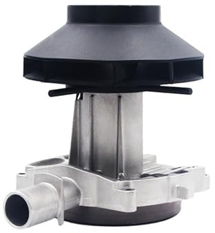 PJFSQAD Passend for Eberspächer Airtronic D4S 12 V 24 Diesel-Standheizung, Gebläsemotor-Baugruppe 252144992000 | 252145992000(24V D4S)
