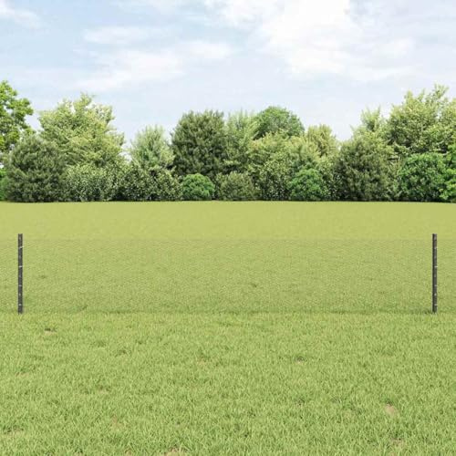 Maschendrahtzaun, Zaun mit Pfosten Grau 0,4 x 25 m Stahl Beetzaun für den Garten, Sicherheitszaun