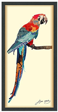 Empire Art Direct Tropical Parrot Dimensionale Kunst-Collage