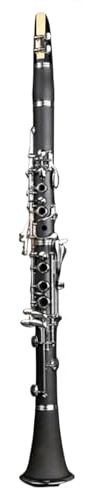 Standard klarinette Einzelne Klarinette In B-Dur 17 Tasten Für Erwachsene Anfänger Professionelle Prüfung Holzblasinstrument(530)