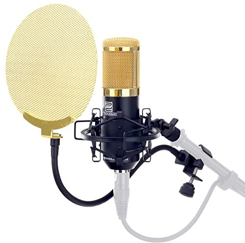 Pronomic CM-100BG Studio Großmembranmikrofon XLR-Kondensatormikrofon inkl. Popkiller Set (mit Mikrofonspinne, Etui, Windschutz, Reduziergewinde und Mikro Popschutz) schwarz