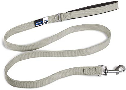 Curli PN2293