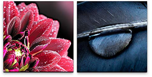 Paul Sinus Art Wandbild 2x60x60cm Blume rote Blüte Feder Wassertropfen Wasserperle Dekorativ Makrofotografie