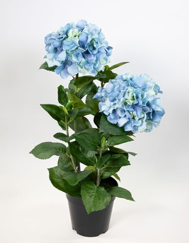 Seidenblumen Roß Garten-Hortensie 56cm im Topf GA kuenstliche Blumen Pflanzen Kunstblumen Kunstpflanzen (Blau)