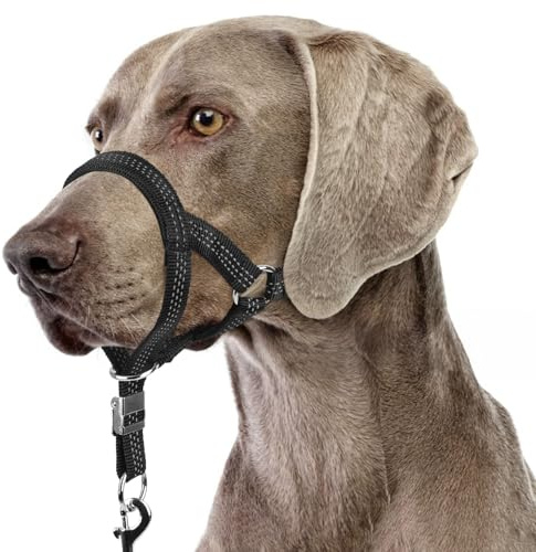 BARKLESS Sturdy No Pull Head Collar for Medium Large Dogs, Gentle Reflective Head Halter with Safety Link, Adjustable Nylon Dog Training Muzzle Leash for Walking Control (Black, L)