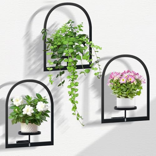 DETENE 3 Pièces Support pour Plantes d'intérieur avec Vis Étagère pour | Métal Étagère Murale pour Plantes Supports de Pot de Fleurs pour Maison Jardin Balcon Salon Terrasse Cour (Circulaire)