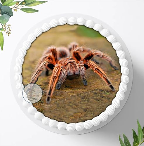 Spinnen, Vogelspinne, Essbares Foto für Torten, Tortenbild, Tortenaufleger Ø 20cm - Super Qualität, 1178a