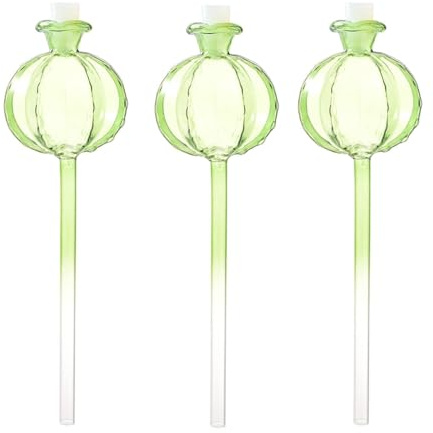 Rordigo Lot de 3 boules d'irrigation automatique pour plantes d'intérieur, cactus