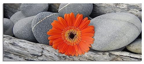 Pixxprint Glasbild Panorama, Wandbild aus Echtglas, Gerbera zwischen Zen Steinen, 120x50 cm, inkl. Aufhängung und Abstandshalter