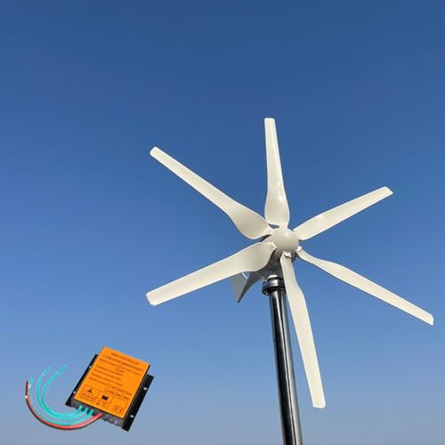 KX-ENERGIE 1000W Horizontal Windkraftanlage Komplettanlage 12V 6Flügel Windgenerator mit MPPT Laderegler Windturbine Windräder Garten Windrad für Heimgebrauch Industrielle Farm Stromerzeuger