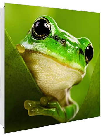 banjado Großer Schlüsselkasten Glas - Schlüsselbox 30x30cm mit 50 Haken - Schlüsselkasten modern für Schlüsselaufbewahrung mit beschreibbarer, magnetischer Glastür - Motiv Frosch