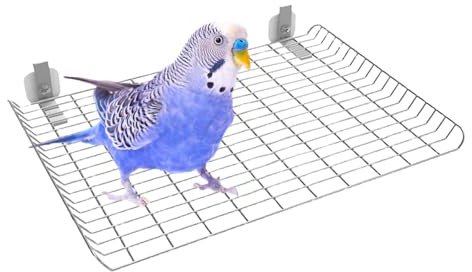 Percha para pájaros Juguete decorativo parque para aves pequeño mediano | Percha Soporte De Acero Inoxidable Para Aves Cacatúas Ninfas, Inseparables, Canarios, Periquitos Y Cotorras, Aves I