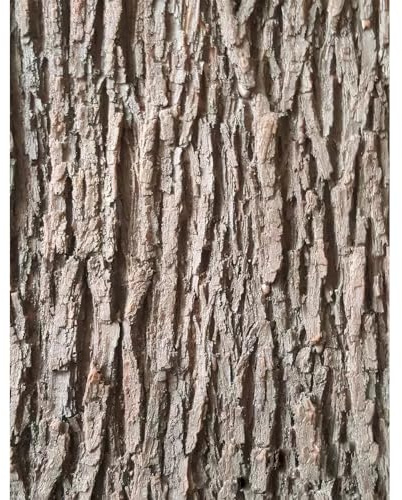 Jeorywoet Corteccia di Albero Artificiale da 79x16 Pollici, Corteccia per Decorazioni di Tubi di pilastri, Aspetto di Simulazione tagliabile per colonne, pareti, Pavimenti, Decorazione di Alberi