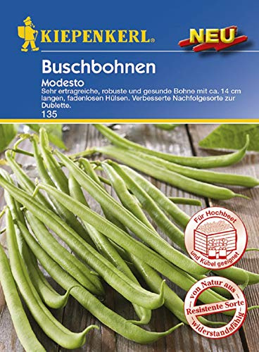 Kiepenkerl 135 Buschbohne Modesto (Buschbohnensamen)