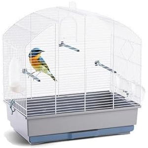 Pet's Market Asso di Quadri Gabbia Voliera Uccelli in Metallo per Canarini Pappagallini Calopsite Inseparabili Medi Volatili con Posatoi Mangiatoie 53x32x54 cm