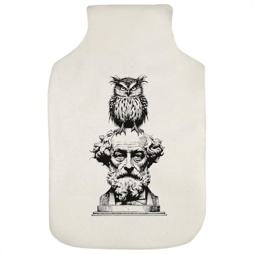 Azeeda 'Charles Dickens mit Eule' Wärmflaschenbezug (HW00039334)