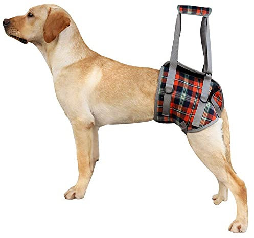 Elepcute Hunde Hinterbein Gehhilfe Zuggeschirr - Verstellbar Hundegeschirr Zurück Beine Spaziergang Gehhilfe für Ältere/Verletzter Hund (L)