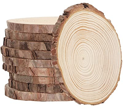 10pcs Natural Wood Chips, Craft Wood Chips,Round Wood Chips with Bark Handmade DIY Wood Disc Decoration ArtDiameter 6cm