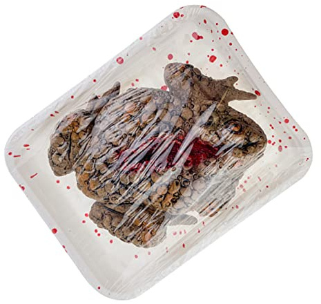 MOLUCKFU Realistische Schreckprop-Box Für Halloween-Dekoration Horrible Meal Box Mit Blutspuren Für Gruselpartys Und Späße in Spukhäusern
