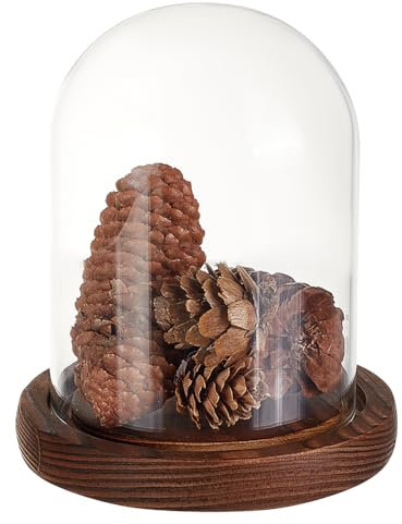 GOMAKERER Glasglocke, 10,2 x 16,3 cm, Glocke, Terrarium mit Korkboden, dekorative Displaykuppel für Pflanzen, Blumen, Weihnachtsdekoration, transparent, 1 Stück