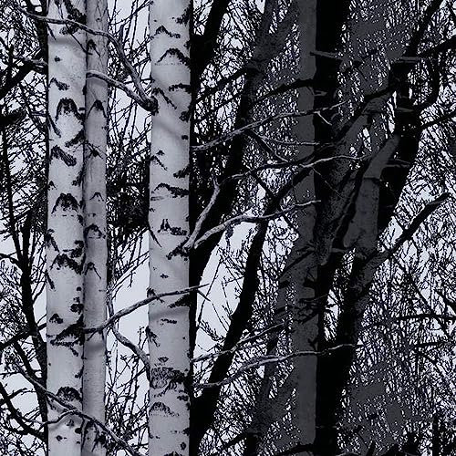 d-c-fix Pellicola Adesiva per mobili Wood legno PVC plastica vinile impermeabile decorativa per cucina, armadio, porta carta rivestimento 45 x 200 cm