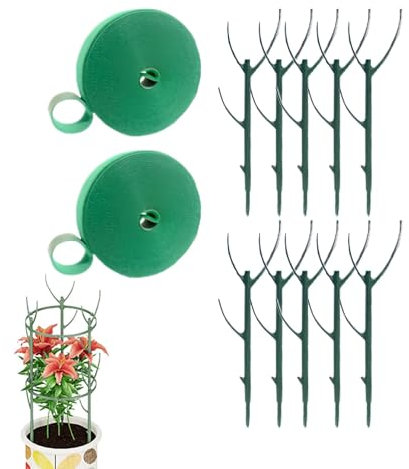 Tige de tige pour individuelles - Inserts de support pour grimpantes - Structures de support pour légumes, tomates, pivoines, roses, hortensias