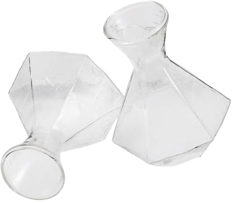 LALAFINA 2pcs Small Glass Vase with Diamond Shape, High Borosilicate Glass Flower Vase Without Hole, Desktop Hydroponic Planter for Home and Office Décor
