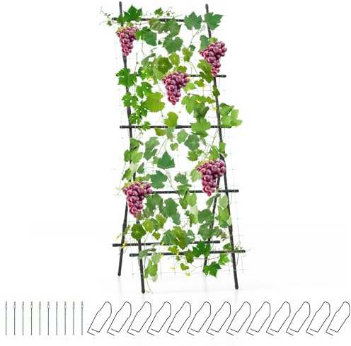 HOMASIS Gurke Rankhilfe Set Metall, Rankgitter A-Form, Spalier mit Gartennetz & Pflanzenclips, Pflanzenhalter Gitternetz Pflanzenstütze für Kletterpflanzen Tomaten Trauben, Outdoor (78x65x187cm)