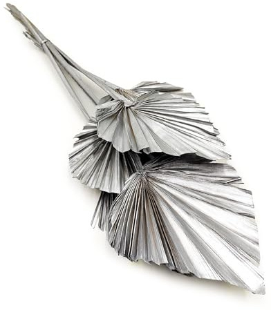 Enchanted Hierba decorativa hojas secas – Palma Palm Spear – Hierba decorativa – Plata