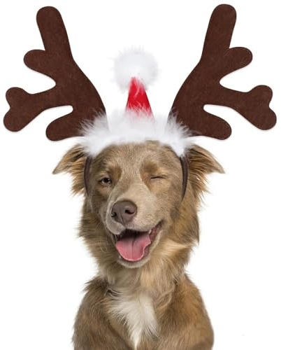 Rentiergeweih Hund, Weihnachten Haustier Stirnband, Verstellbarer Rentier Geweih für Hunde, Rentier Haarreif Hund, Hunde Weihnachtskostüm, für Katzen und Hundes im Winter und zu Weihnachten (B)