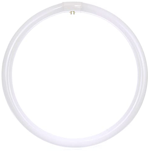 Sunlite 05021 FC16T9/CW T9 Round Fluorescent Circline Lamp, 40 Watts, 2600 Lumens, 4100K Cool White, RoHS Compliant, G10Q 4-Pin Base, 1 Pack