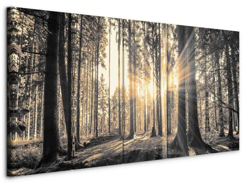 murando - Akustikbild Wald 5 tlg Bilder Akustikschaum Schallschutz Wand Deko Akustikpaneele Wandpaneele Schalldämmung Wandbild Schallabsorber Akustikplatten Waldlandschaft Natur Baum c-C-0177-b-o