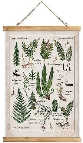 XIAOAIKA Vintage Ferns Hanging Poster with Wooden Frame, Retro Style Wall Decor Art Painting, Patterns Printed on Linen Without Fading, Ready to Hang (12 x 16)
