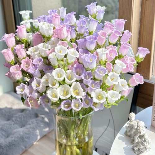 semi di campanula campanula - selvatici da balcone rare, decorazione del soggiorno decorativi resistenti da balcone di recisi 70pcs