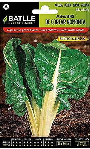 Semi di ortaggi Batlle - Green Cut Mangold Nomonta (600 semi)