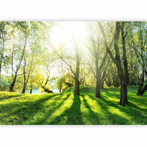 murando - Carta da Parati Moderna per Soggiorno, Foresta, 450x315 cm | Fotomurali in TNT, Decorazione da Muro XXL, Carte da Parati Moderne, Bosco, Verde, Produzione Europea