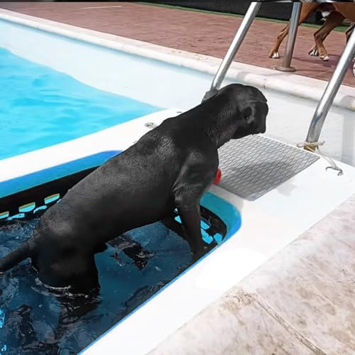 HNBYLMM Aufblasbare Hunde-Boots Rampe, Hunde Pool-Rampe für Hunde bis 50 KG, rutschfeste Aufblasbare Eva-Hundeplattform, Hoch Stabile Wasserrampe für Boot, Pool, Steg, See, Meer,Blue-120X90X10cm