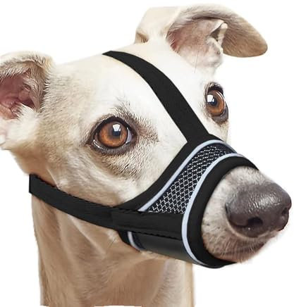 Hunde Maulkorb, Nylon-Maulkorb Für Hunde Verstellbares Gurtband Geeignet für Maulkörbe von mittleren und großen Hunden Verhinderung von Bellen, Beißen und Kauen (S)
