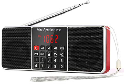 PRUNUS J-288 Radio Portatile Ricaricabile AM/FM,Radio Bluetooth con L'altoparlante Stereo,Radiolina Portatile Digitale con Serratura a Chiave e Funzione Sleeping Clock, MP3 Player, Supporto SD/USB/AUX